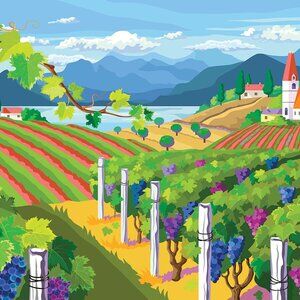 Colorcraft 1000 Piece Jigsaw Puzzle, Vibrant Vineyard - Complete